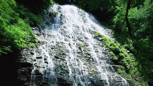 稳定性独特